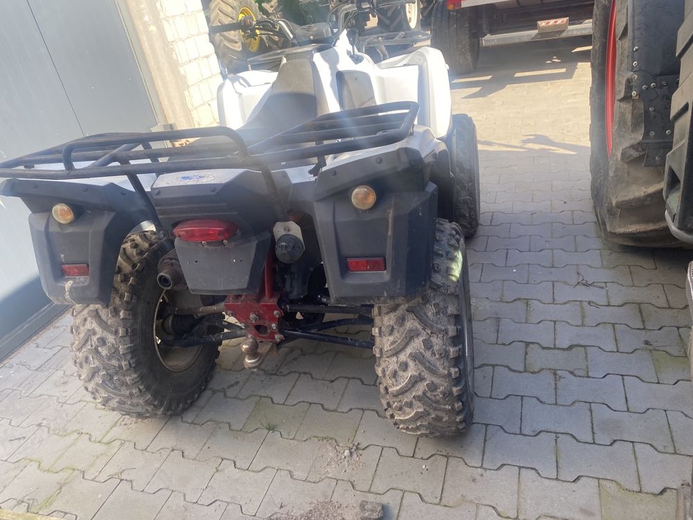 Quad ACCESS FU 300 . 300cm3 . Homologacja