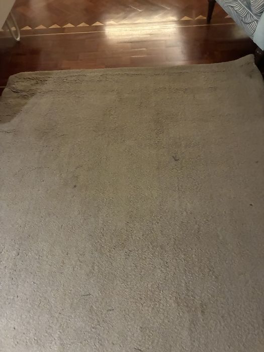 Tapete AREA STORE bege 170x240cm usado