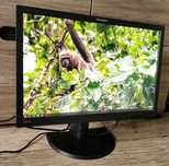 Monitor Lenovo 24" IPS FHD+ Display Port DVI VGA USB pivot