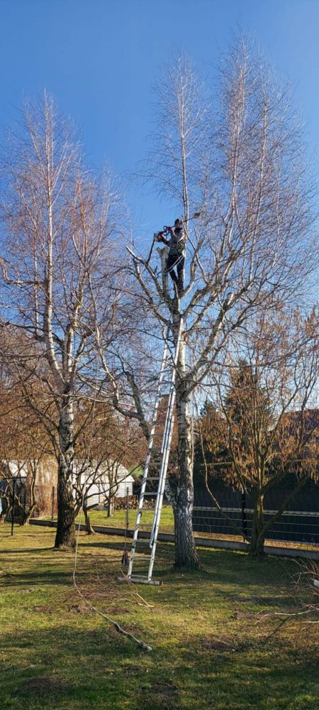 Pielęgnacja ogrodów , wycinka drzew,przycinanie żywopłotów,koszenie