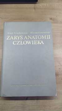 Zarys anatomii człowieka