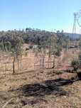 Moradia no Monte Castro