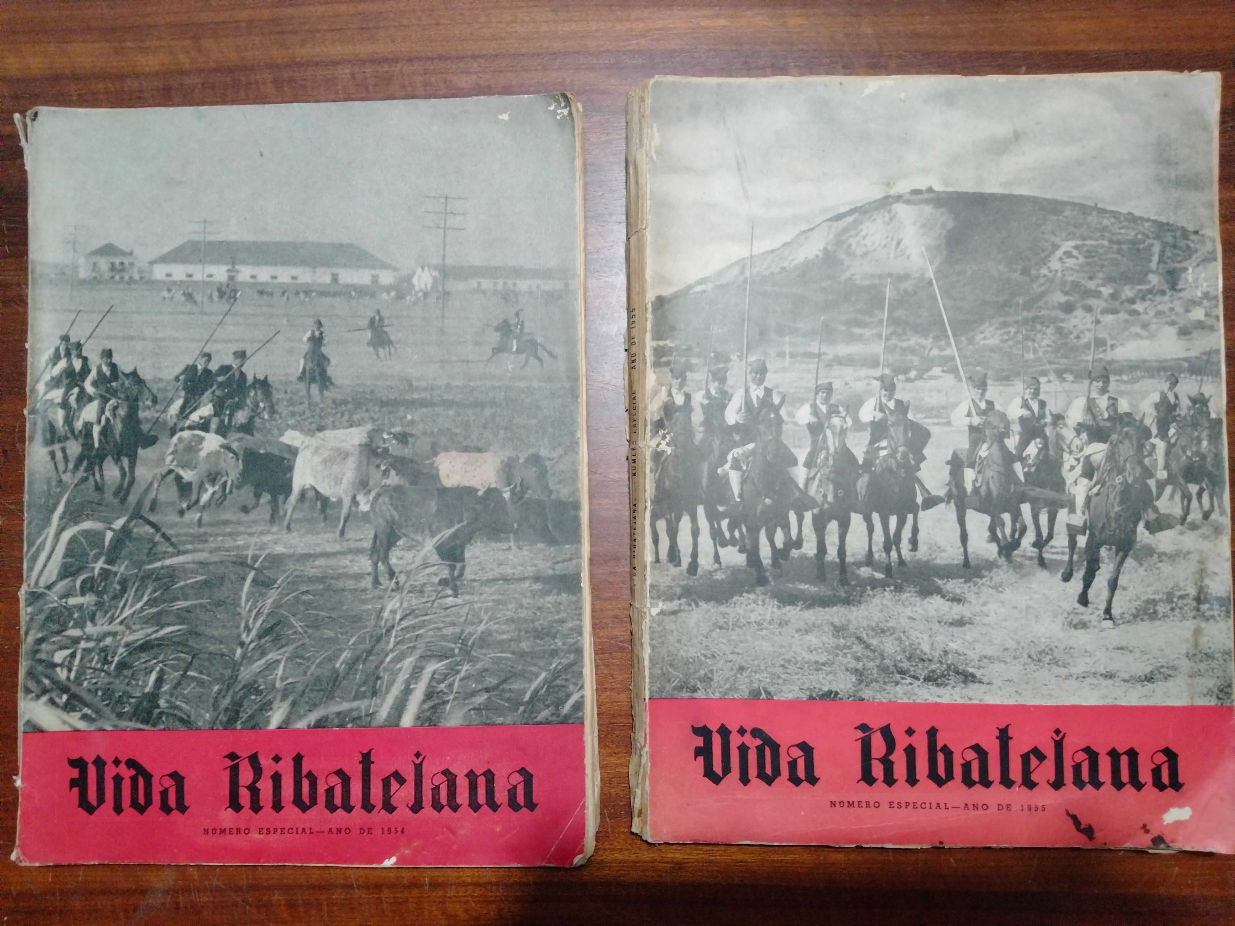 Vida Ribatejana - revistas