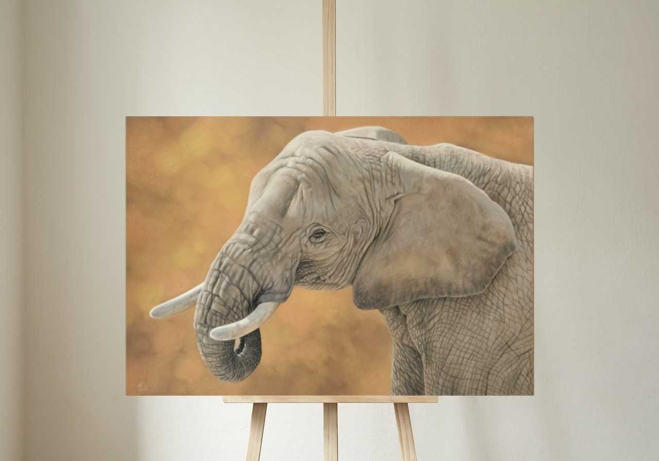 Rysunek praca artystyczna portret słonia 50x70 cm