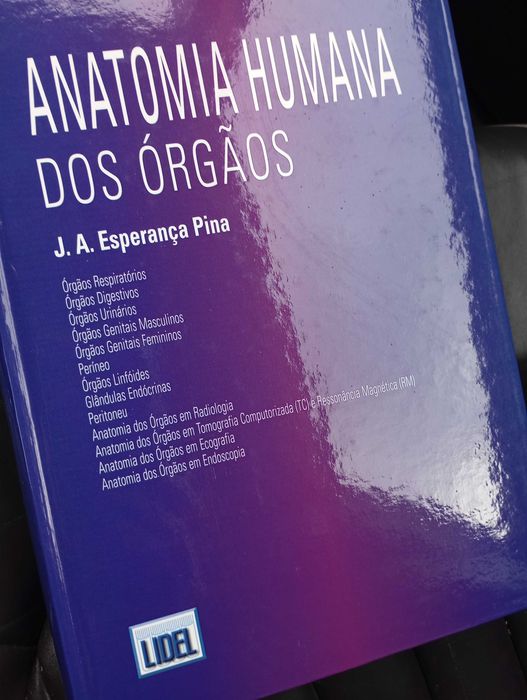 Anatomia dos órgãos