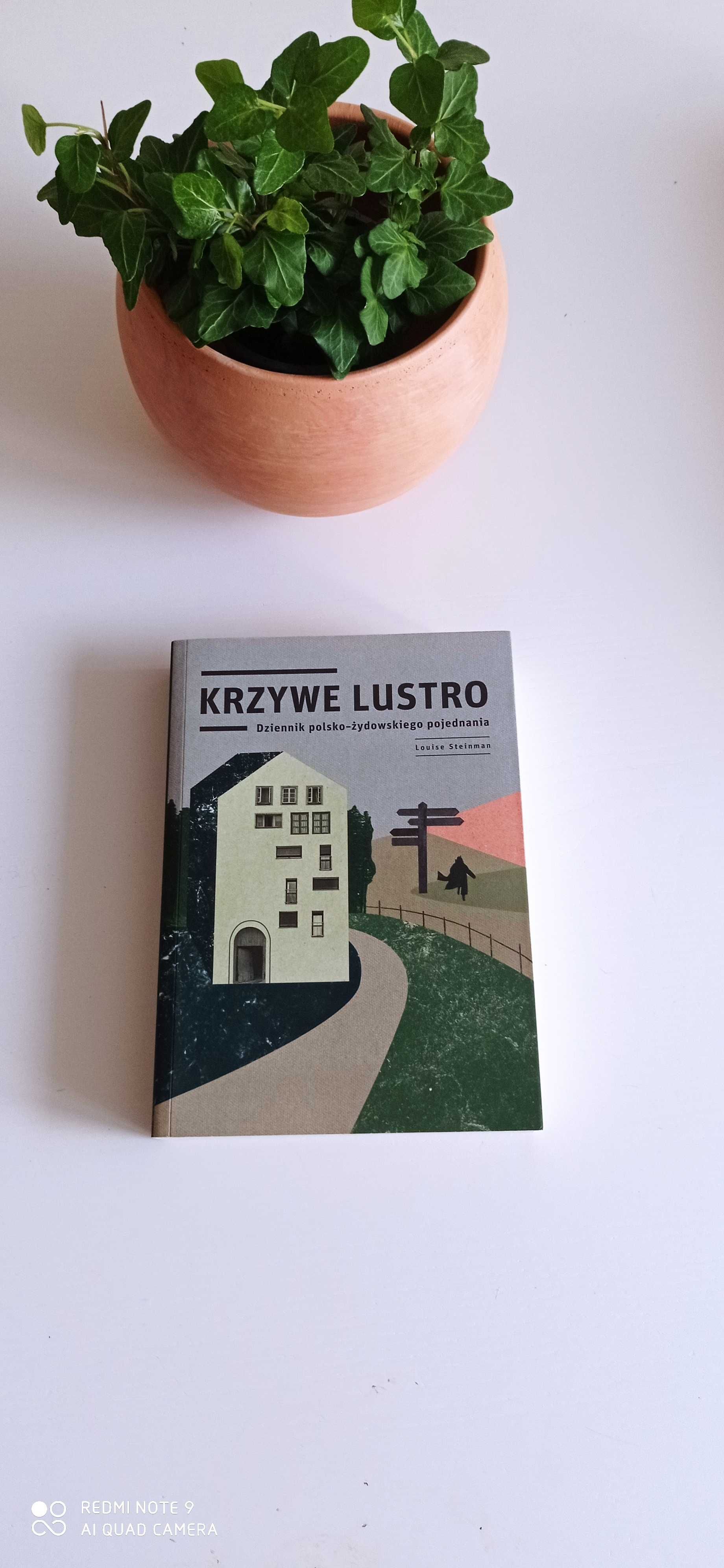 Krzywe lustro - 9 zł