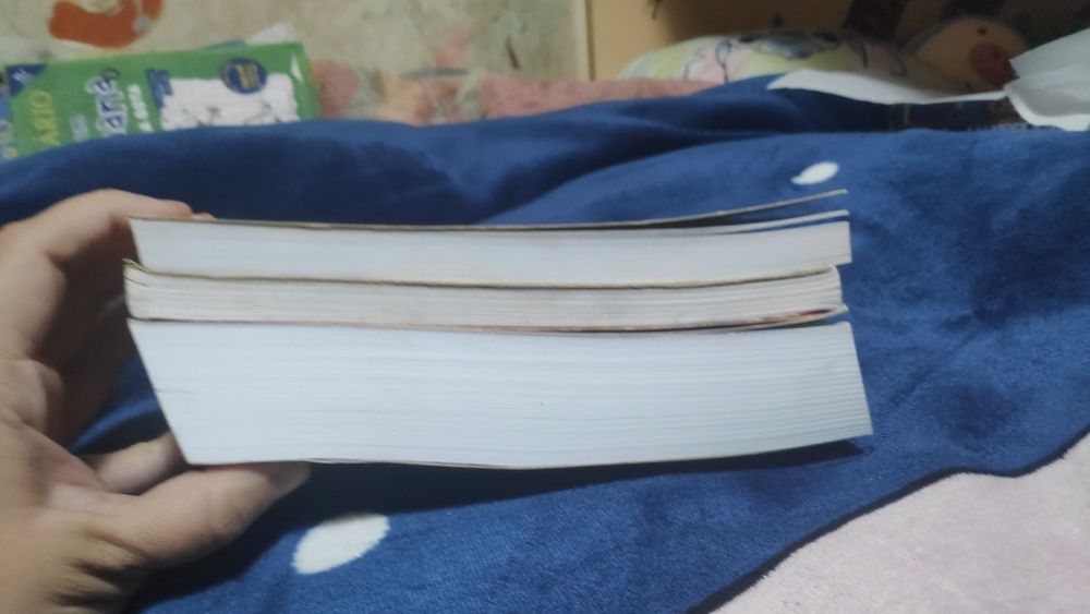 Alguns livros da Coleção as gêmeas