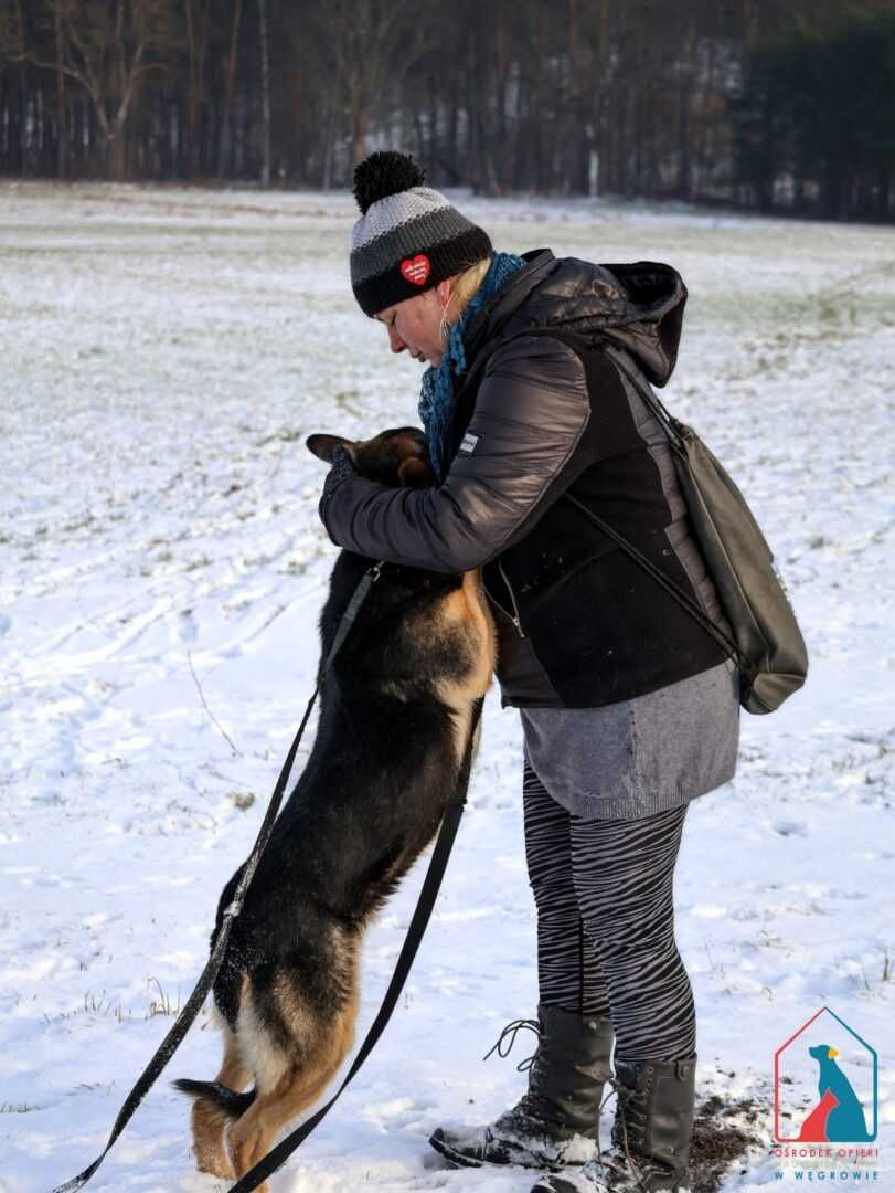 Bardzo przyjazny, fajny młody psiak Otis szuka domu!