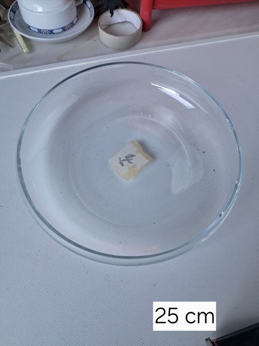 Vaso em lidro redondo