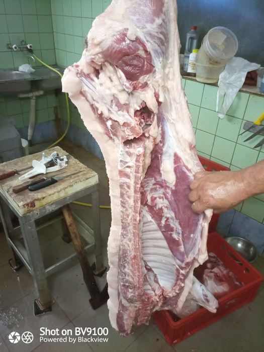 Sprzedam mięso świński  pultusze z mangalicy ostatnia szt