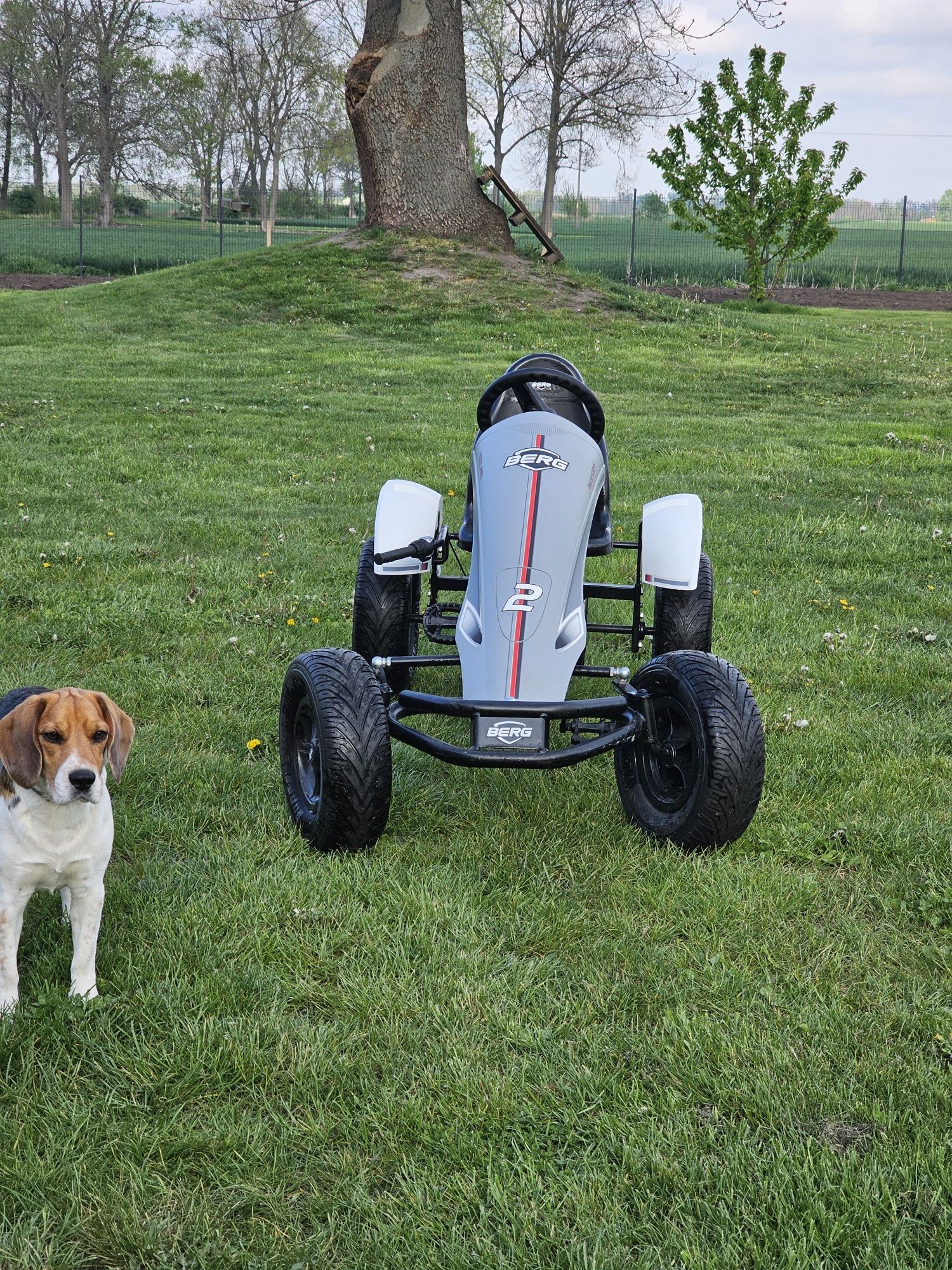 Gokart Berg GTS BFR-3