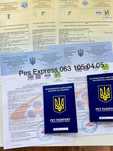Срочные ветеринарные документы (паспорт, форма 1, сертификат)