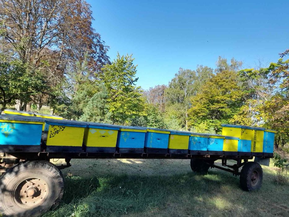 Продам платформу, корпуса, рамки для пасіки