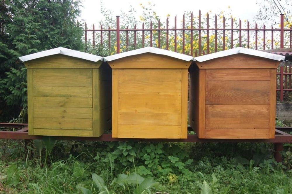 Ul Ule Dadant Dadanta Warszawski Poszerzany Pszczoły Odkłady