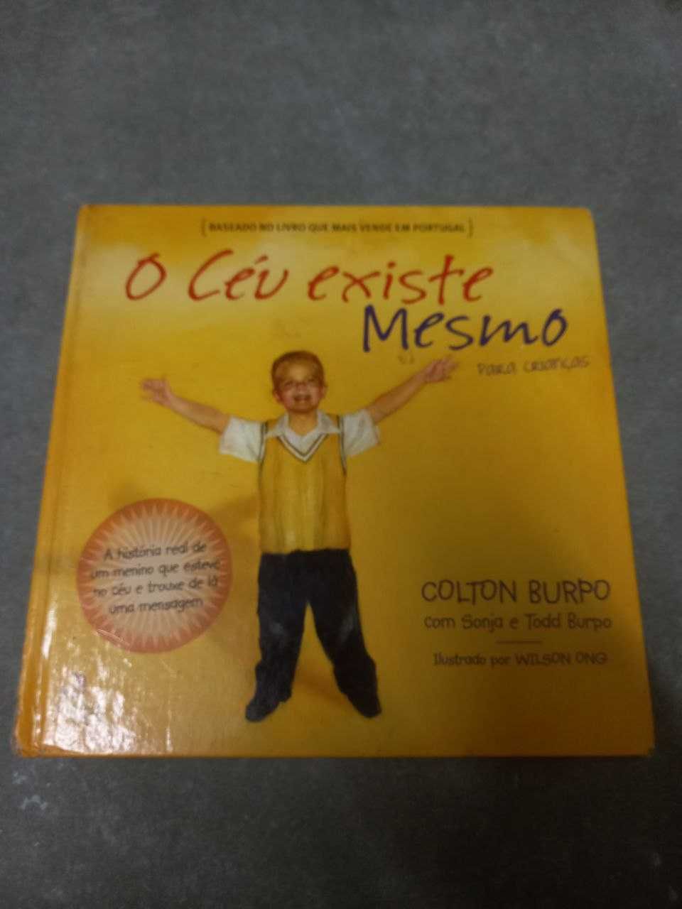 livro '' o céu existe mesmo''