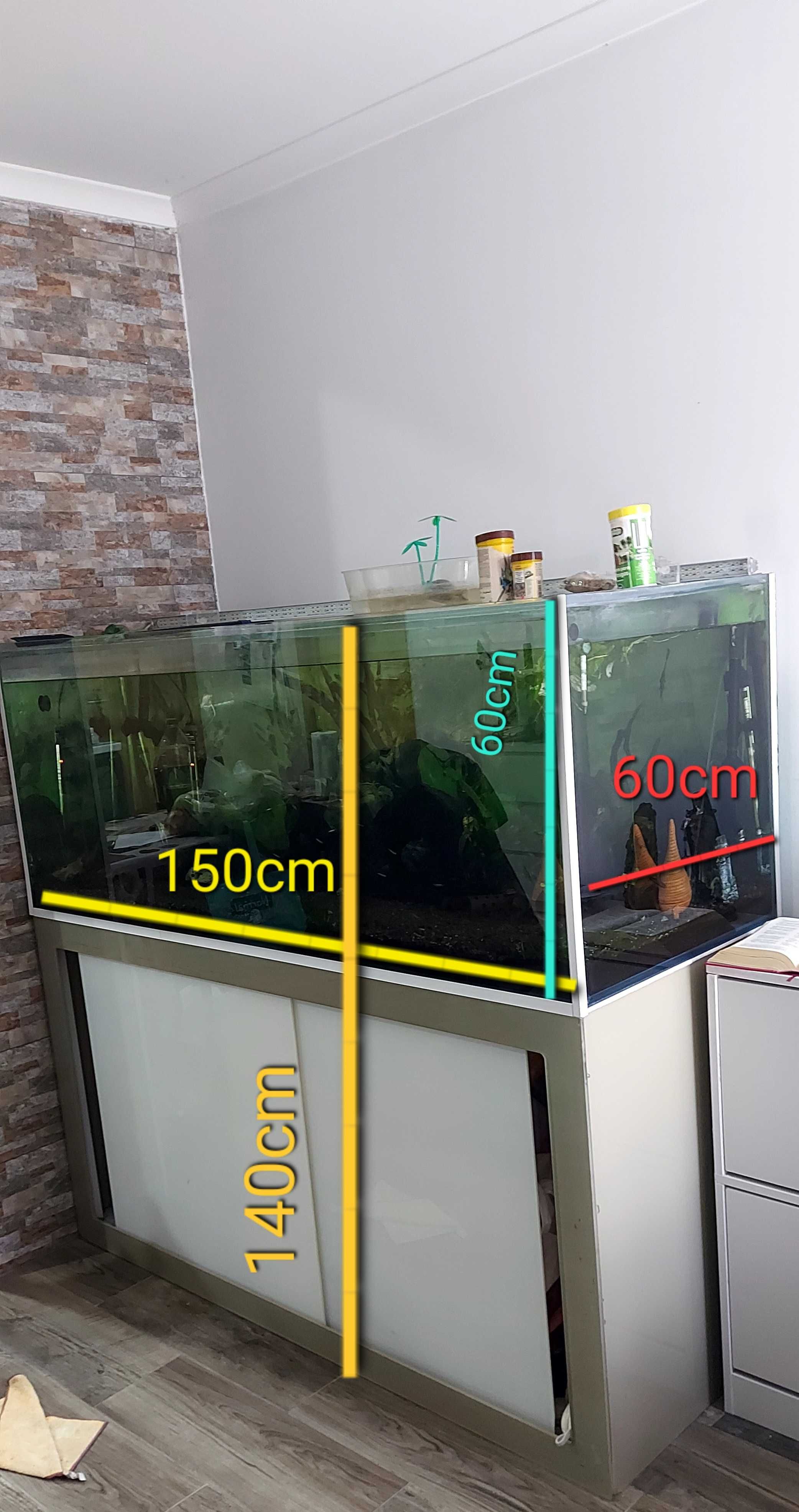 Aquario 540L com movel com todos os utensílios