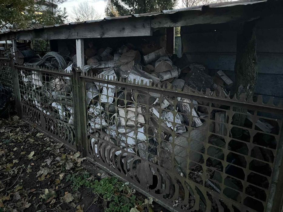 Drzewo opałowe brzoza