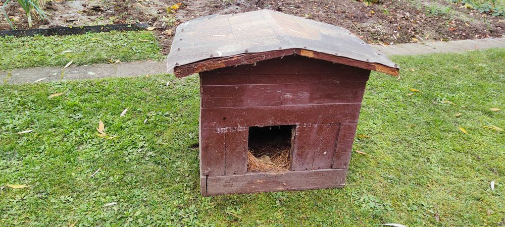 Buda dla psa, ocieplana