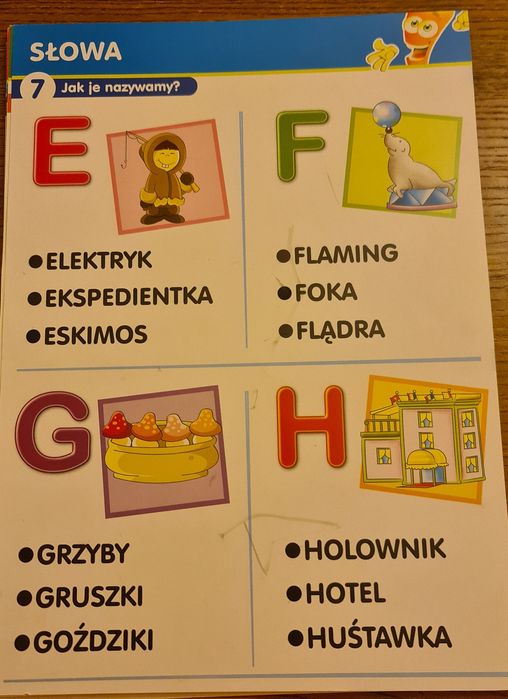 Marcheweczka ABC słowa, zdania + mówiąca i świecąca marchewka + gratis