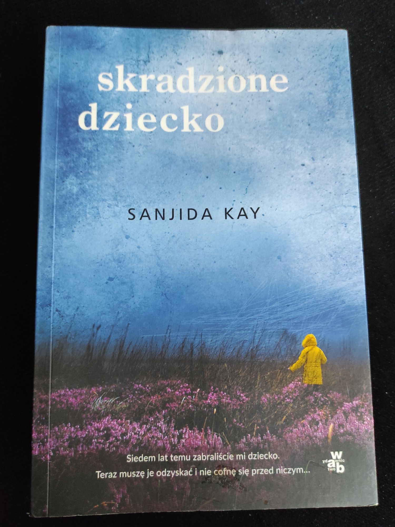 Sanjida Kay Skradzione dziecko