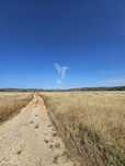 Terreno Rustico com 8980 m2 situado  em Tunes