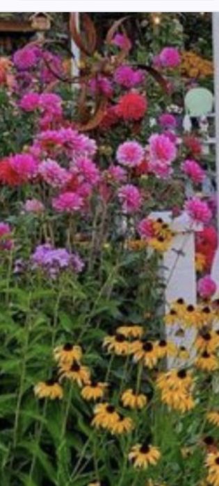 Продаж земельної ділянки на  пров. Київському, Замостянського району