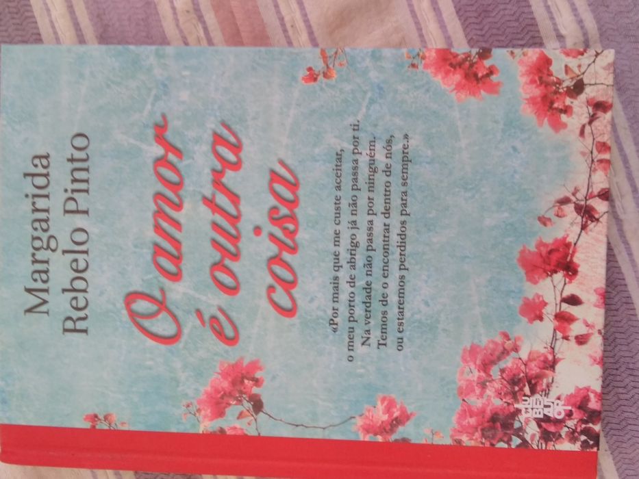 O amor é outra coisa. - Margarida Rebelo Pinto