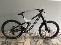 NORCO Aurum C 7.3