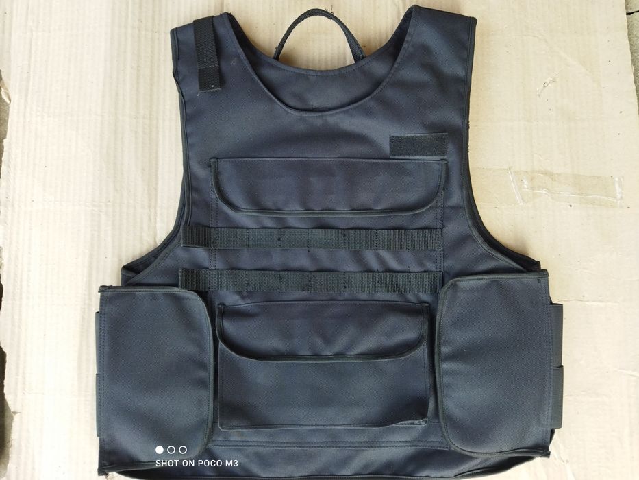 Плитоноска (Польща)