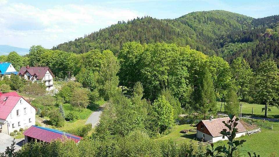 Góry, Międzygórze, pokoje, camping, noclegi, Snieznik, agroturystyka