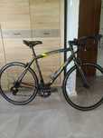 Rower NiceBike Terra