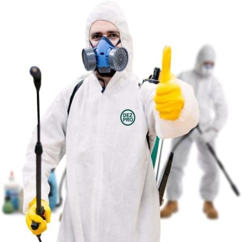 Знищення мишей, тарганів, клопів, бліх, щурів. Дезінфекція шкідників