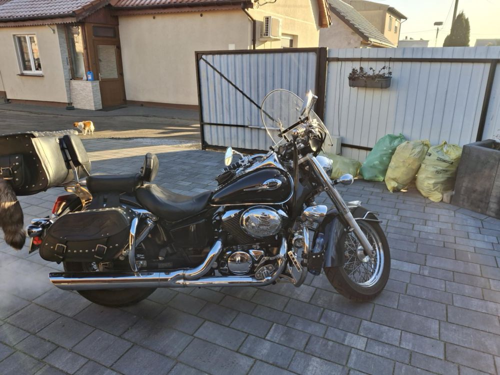 Honda Shadow w stanie idealnym