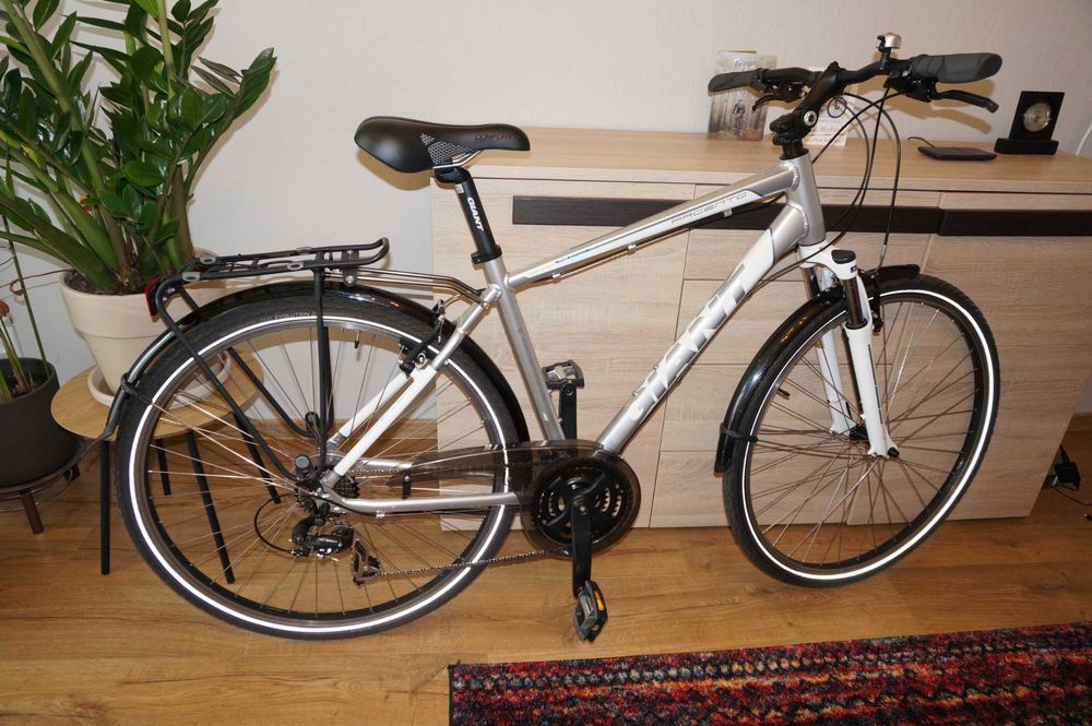 Rower Giant Argento RS 4