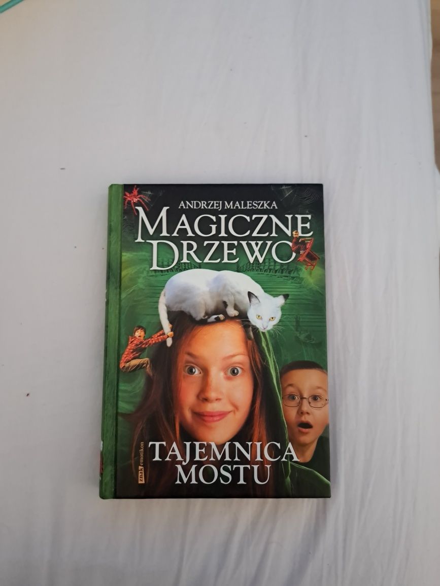 Książka magiczne drzewo Tajemnica mostu