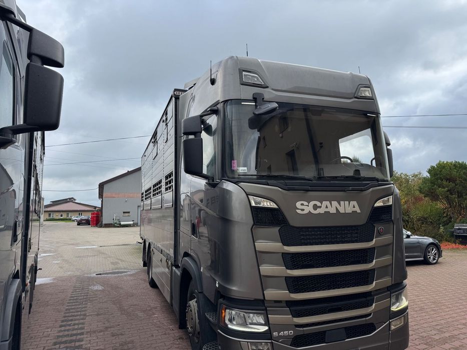Scania S450 Pezzaioli  Scania S450 Pezzaioli do przewozu żywca bydła