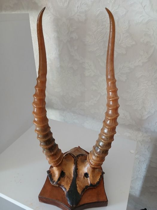 Роги сайгака ручна робота