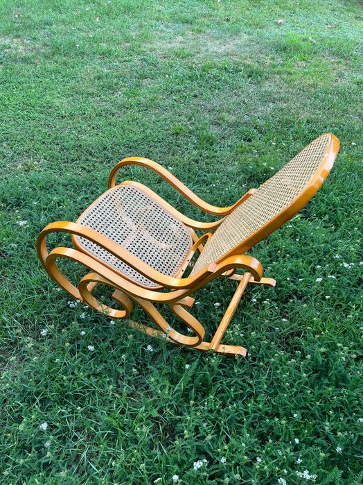 Fotel bujany rantowy