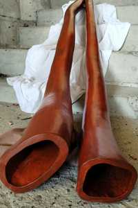 Didgeridoo Jawor wierzba