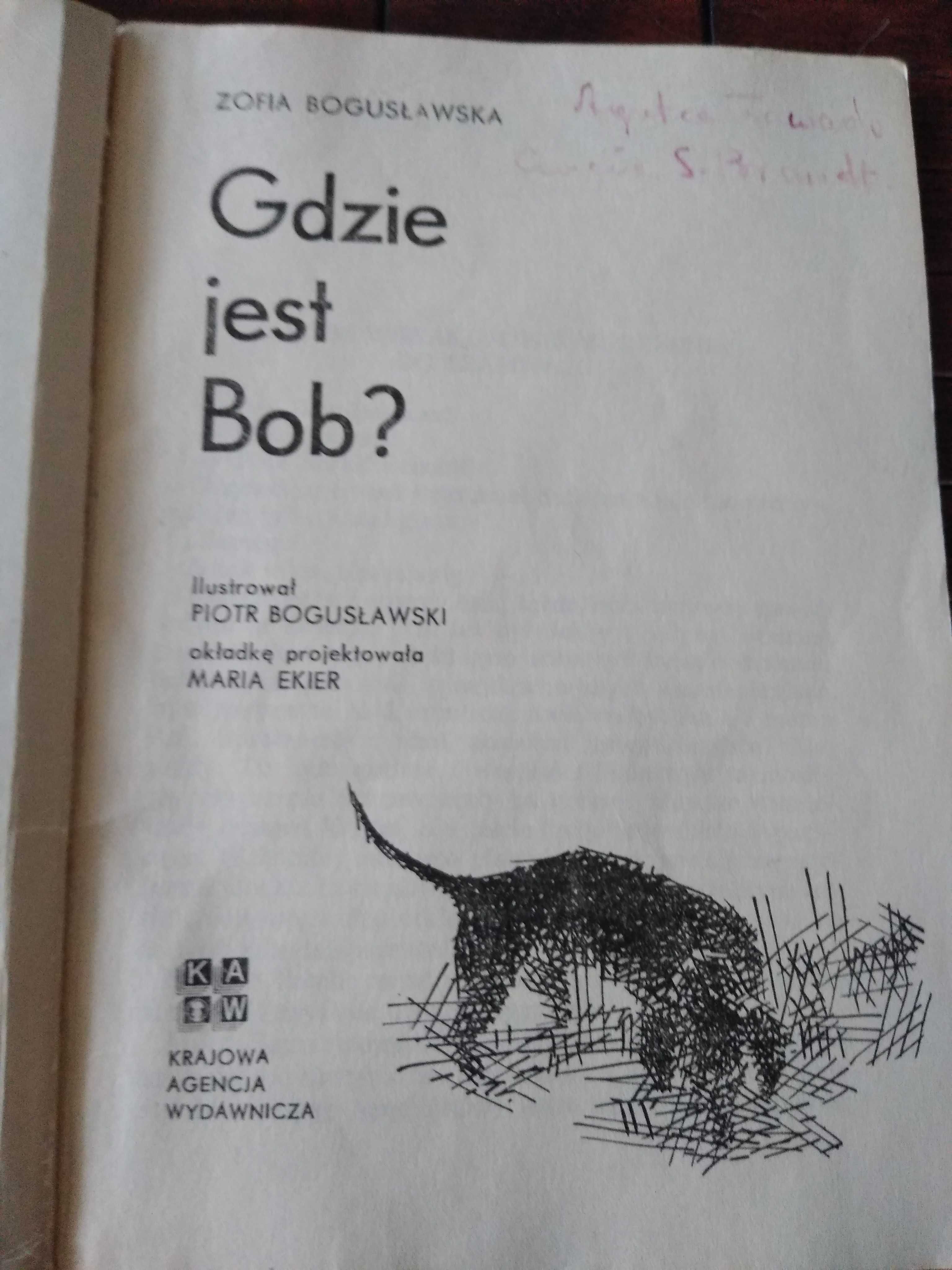 Boguslawska gdzie jest Bob