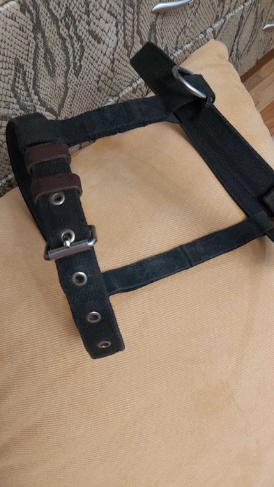 Продам шлейку для собаки.