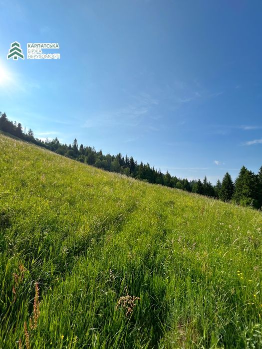 Знмельна двлянка в туристичному селі Пилипець