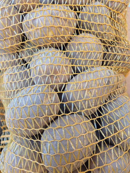 Ziemniaki jadalne gala Mia marabel