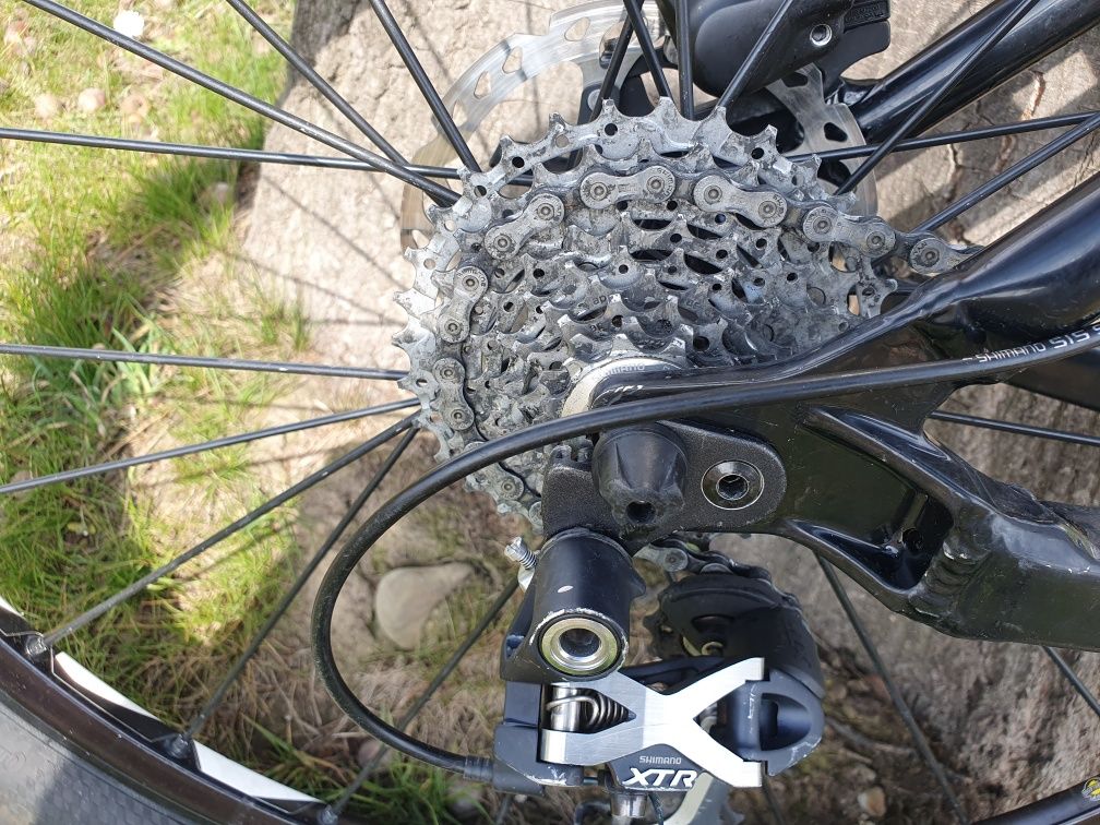 Santa Cruz Chameleon