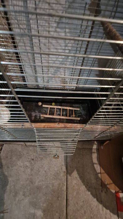 Duza klatka dla papugi