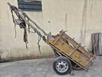 Carroça para burro com colete