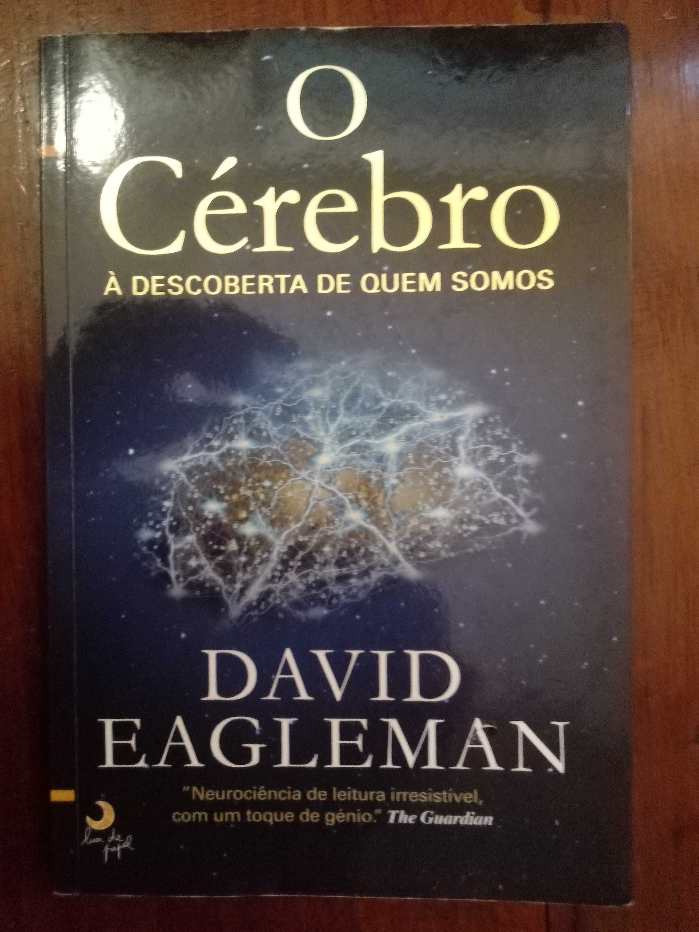 David Eagleman - O Cérebro