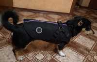Тепла куртка жилетка на флісі для собак
