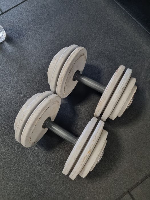 Par Alteres Panatta 26kg