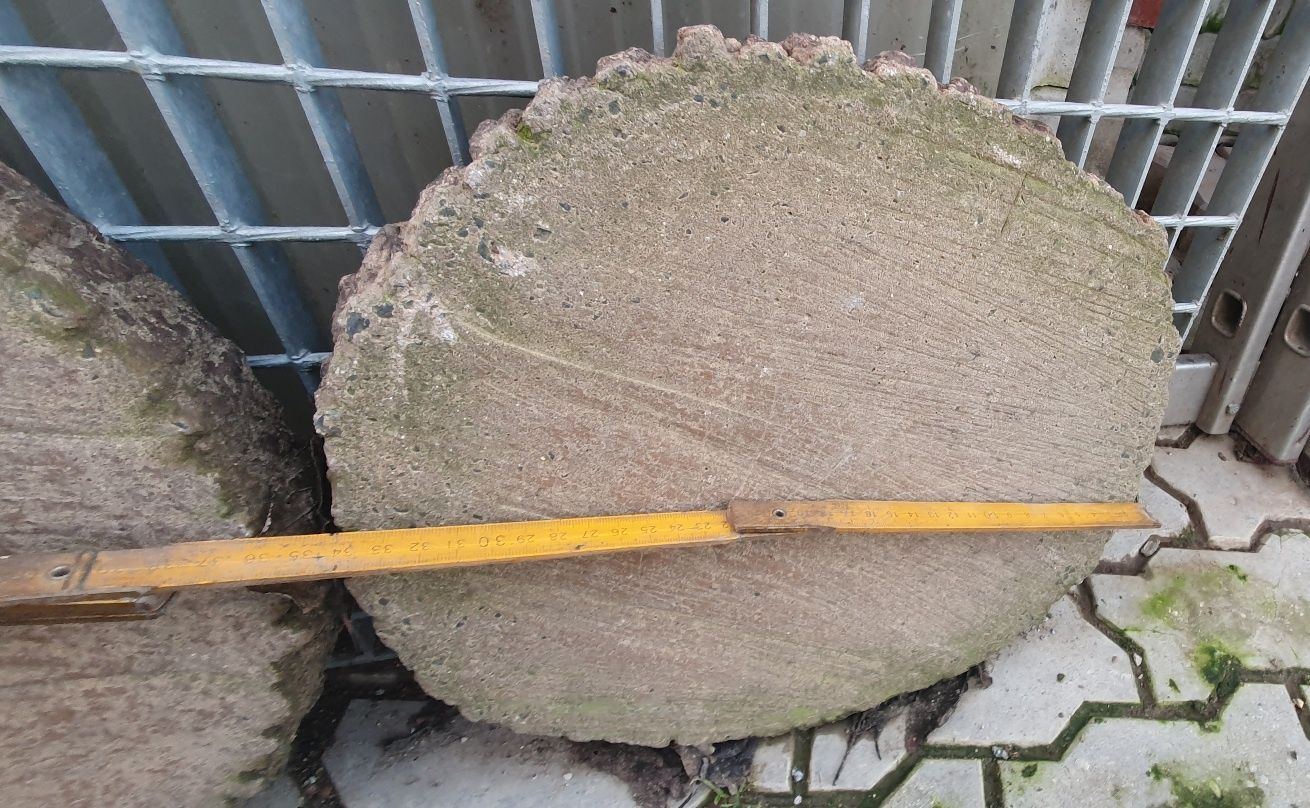 Plaster drzewa betonowy